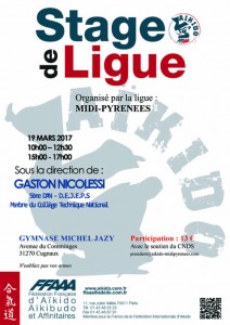 stage-ligue-nicolessi